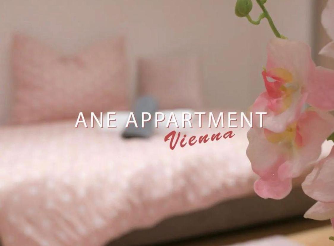 Ane Apartment Viyana Dış mekan fotoğraf
